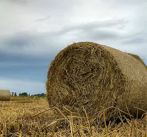 Agri-Tech and Innovation  Updates - 28圈娱乐APP