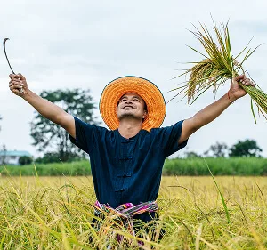 Agri-Tech and Innovation  Updates - 28圈娱乐APP