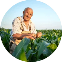 Revolutionizing the Way  Food is Grown - 28圈娱乐APP