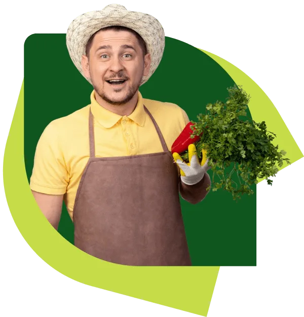 Cultivating Growth The
                                      - 28圈娱乐APP