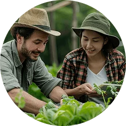 Revolutionizing  the Way Food - 28圈娱乐APP