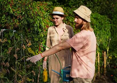 Organic Farming Solutions - 28圈娱乐APP