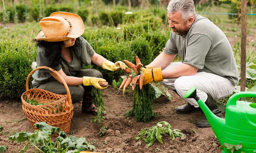 Revolutionizing the Way Food is Grown - 28圈娱乐APP