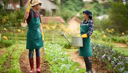 Revolutionizing the Way Food is Grown - 28圈娱乐APP